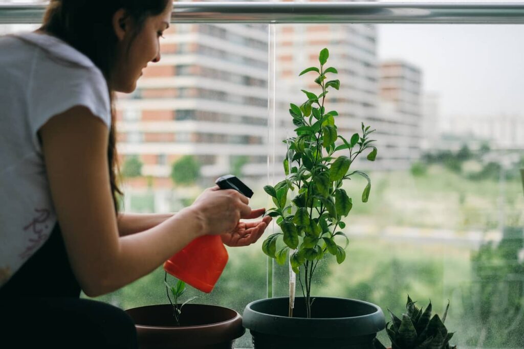 Horta caseira, mulher rega sua horta